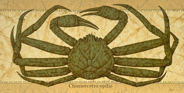 Выставка «На берегу»