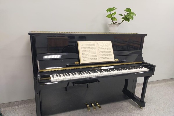 Мастер-класс «Фортепианные мелодии, согревающие душу»