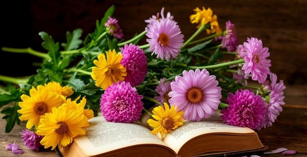 Программа «Травы-муравы»