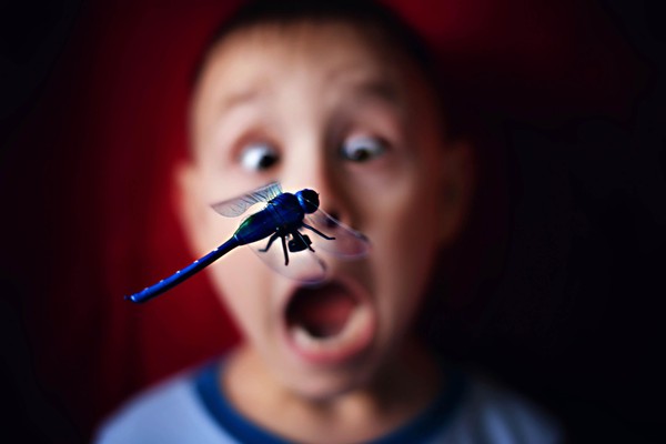 Фотовыставка «Взгляд через объектив»