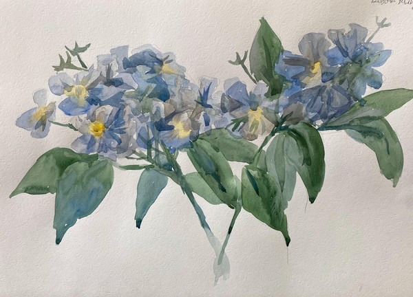 Виртуальная выставка «Цветы»