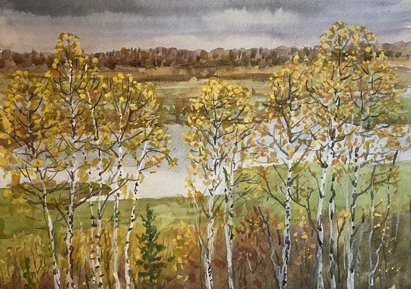 Виртуальная выставка «Краски Арктики»