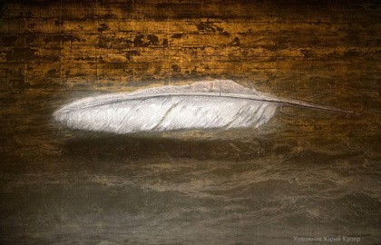 Мандрагора