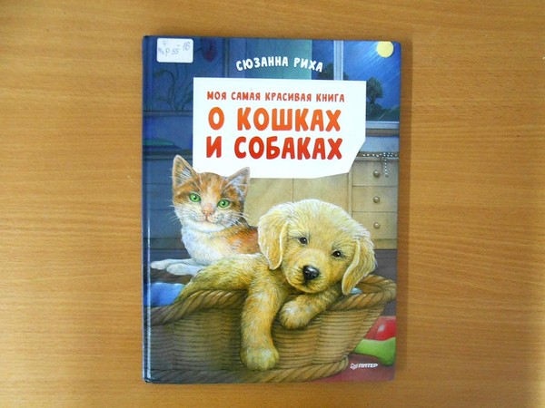 Программа «Наши меньшие братья»