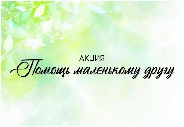 Благотворительная акция «Помощь маленькому другу» к Всемирному дню защиты животных