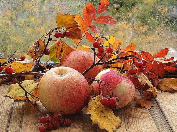 «Осенние мотивы»