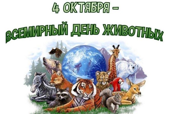 Утренник «От улитки до слона»