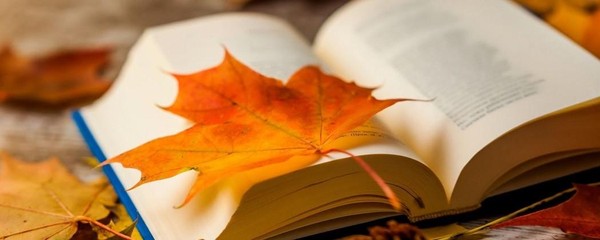 Выставка «Осенние страницы: книги, согревающие душу»