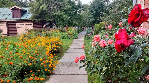 Программа «В усадьбе Павловых»