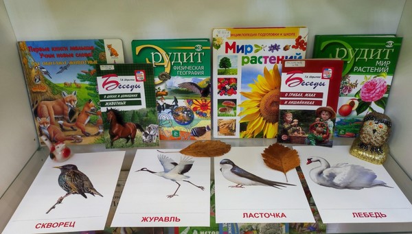 Экологическая викторина «Сохраним природу»