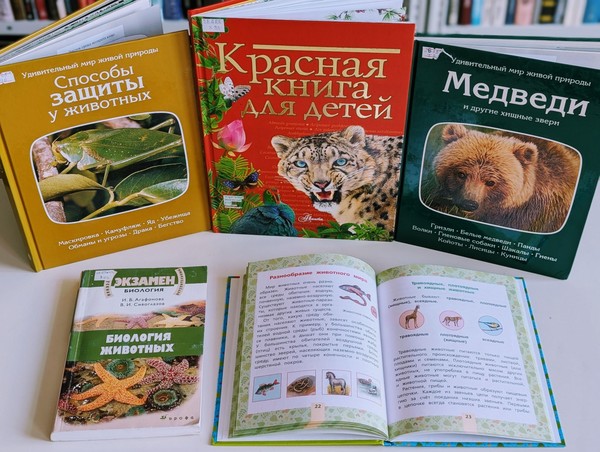 Эко-викторина «В царстве зверей»