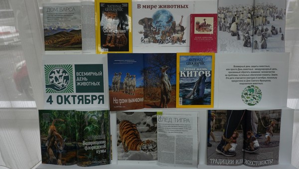 Познавательно-развлекательная программа «Удивительные приключения»