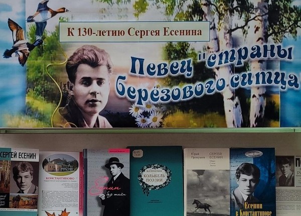 Литературная гостиная «Поэт русской земли»