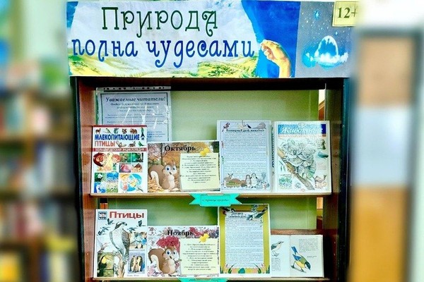 Выставка «Полна природа чудесами»