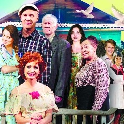 Любовь и голуби