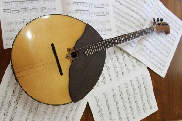 Курс обучения игре на домре