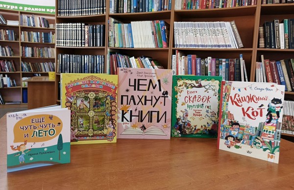 Литературный час «Вместе с книгой не скучаем»