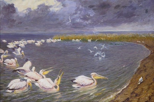 Выставка «Птицы-рыболовы»