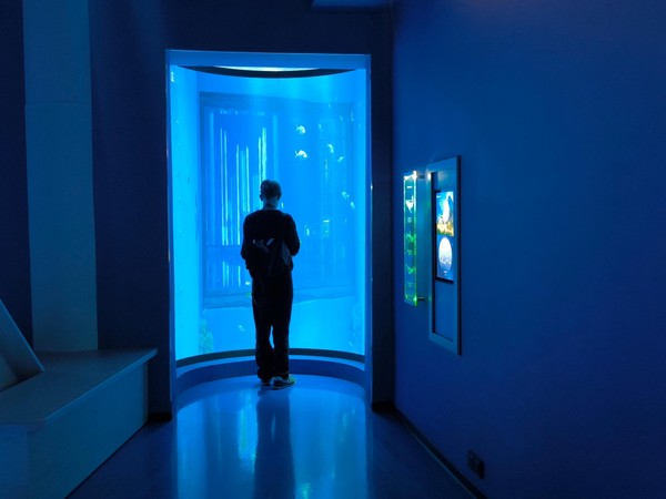 Цикл занятий в Школе океанолога "ОКЕАНиЯ"