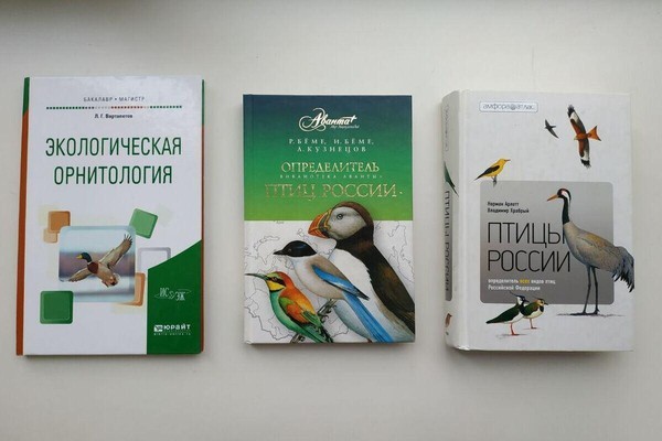 Выставка «Экологический календарь. Ноябрь»