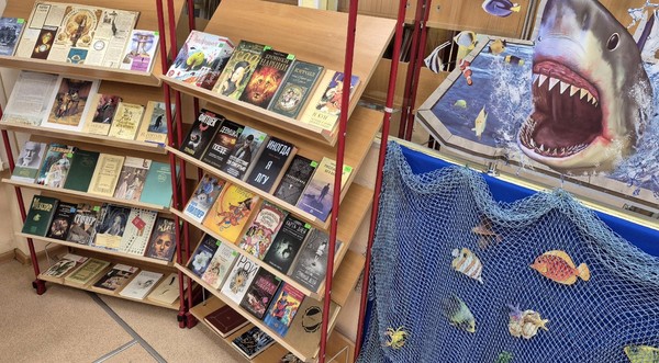 Тематическая выставка «Книжные иллюзии»