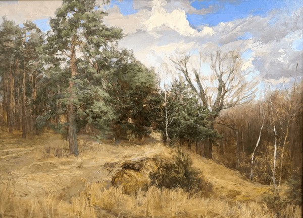 Выставка «Художники Владимирской земли»