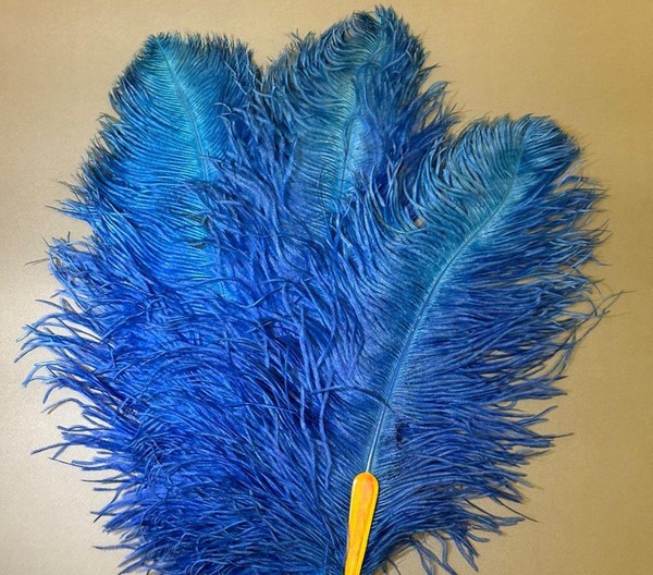 Выставка «Тайна веера»