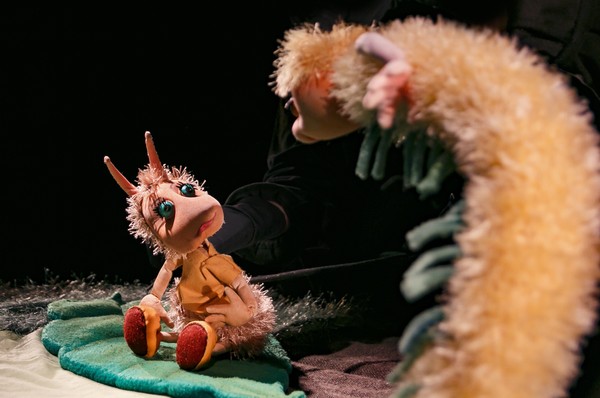 Татьяна Смирнова