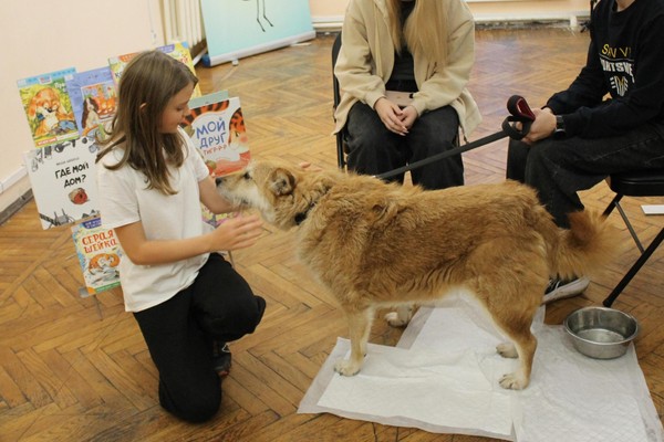 Сеанс проекта «Чтение с собаками»