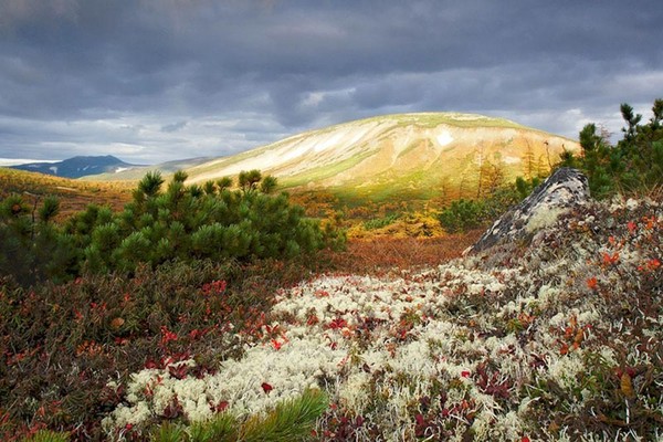 «В путешествие с библиотекой!»: «Дальний Восток это близко!»