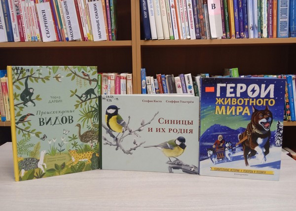 Программа «Праздник природы и заботы»