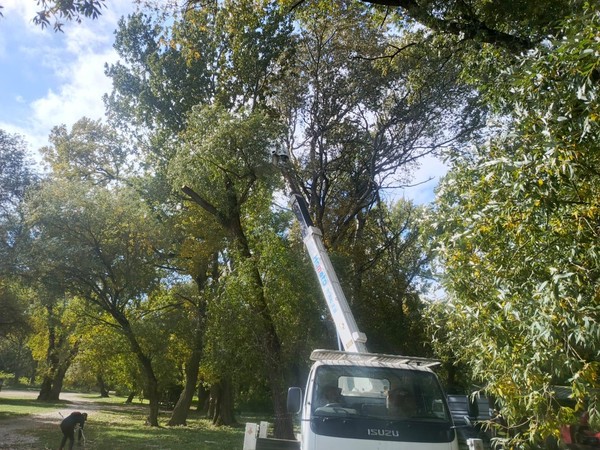 Акция экологической заботы «Экодесант»