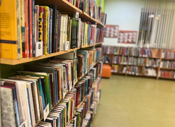 Библиотечный урок «Моя первая библиотека»