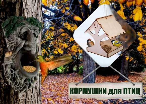 Экологическая программа «Поможем птицам вместе!»