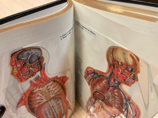 Встреча-беседа с представителем из сферы здравоохранения «Разговоры о важном»