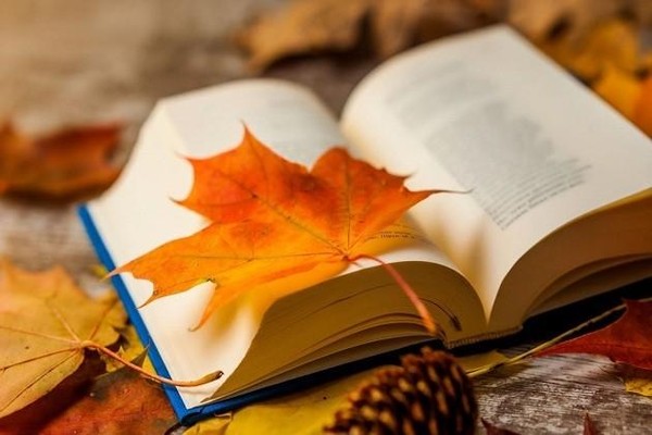 Выставка «Книжный листопад»