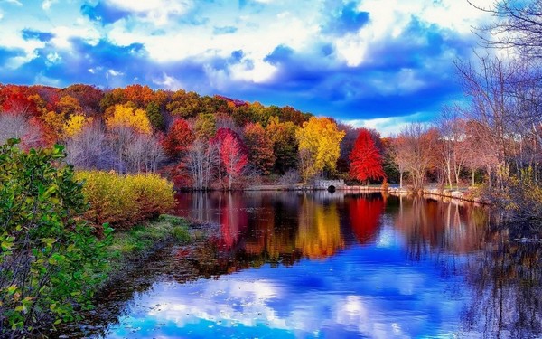 «Краски осени»