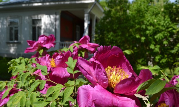 Выставка произведений живописи и графики из собрания музея Н. А. Ярошенко