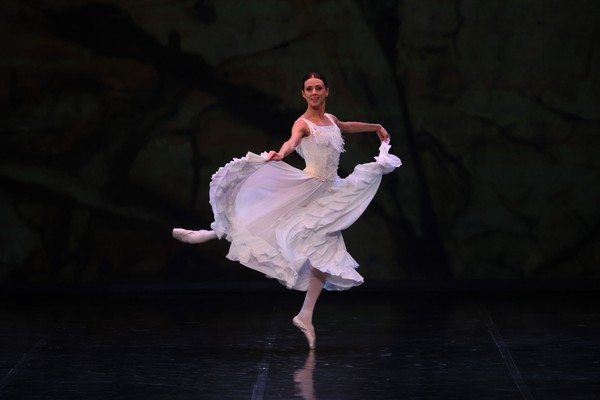 Звёзды Петербурга