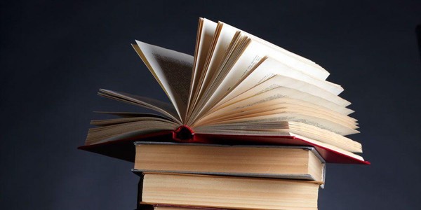 «Литературные портреты»