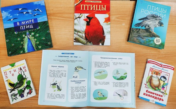Программа «Птичья перекличка»