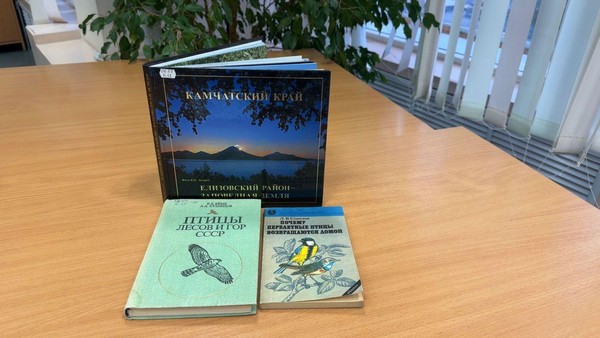 Книжно-иллюстративная экспозиция «Синичкин день»