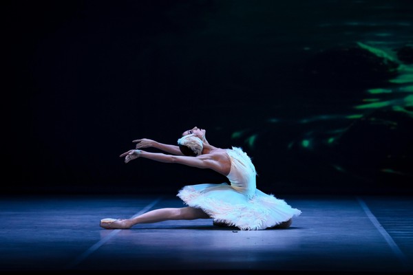 Х благотворительный Гала-концерт «Звезды Петербурга» в поддержку Свято-Владимирской школы