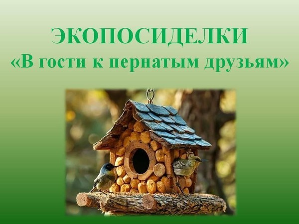 Экопосиделки «В гости к пернатым друзьям»