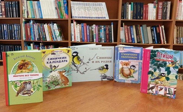 Экологический час «Птички на книжных страничках»