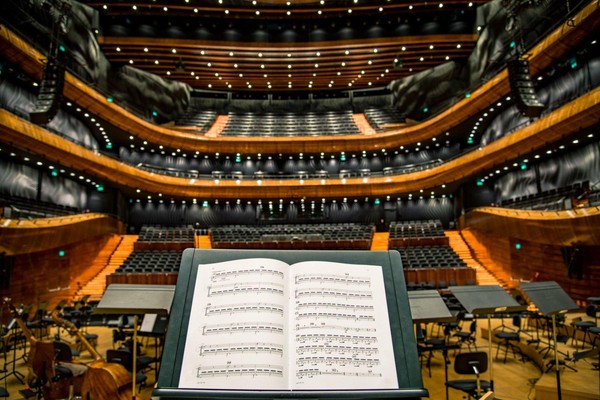 Концерт «В вихре звуков, чувств и дум»