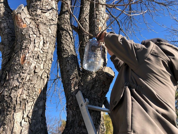 Акция «Покормите птиц зимой»