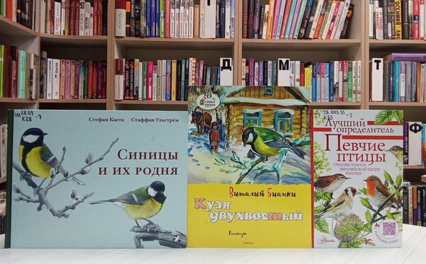 Мастер-класс «Лучшая кормушка»