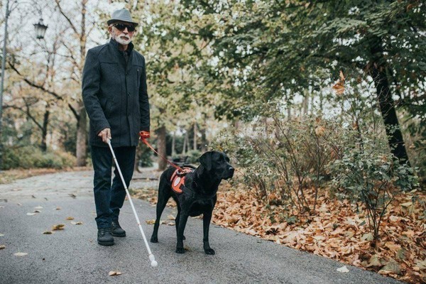 Акция, посвящённая Международному дню слепых «Помоги мне увидеть этот мир!»