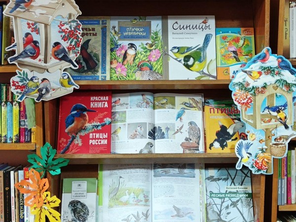 Эко-обзор «Синицы-озорницы и другие птицы»